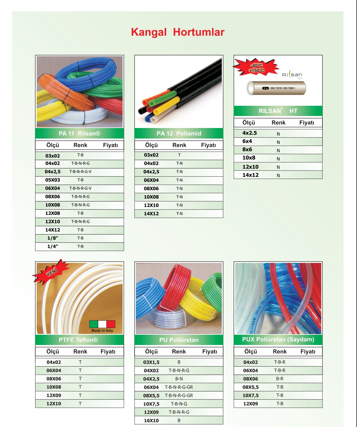 Rilsan (PA11) Hortum